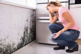 Best HVAC Mold Inspection and Cleaning in USA